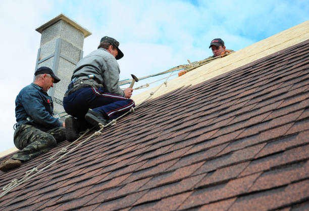 Best Gutter Installation and Roofing  in Moscow, PA